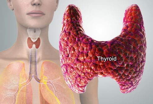 Thyroid Profile