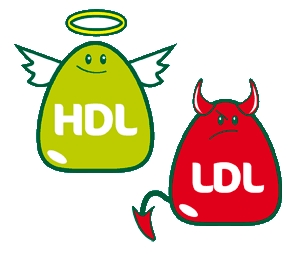 Lipid Profile