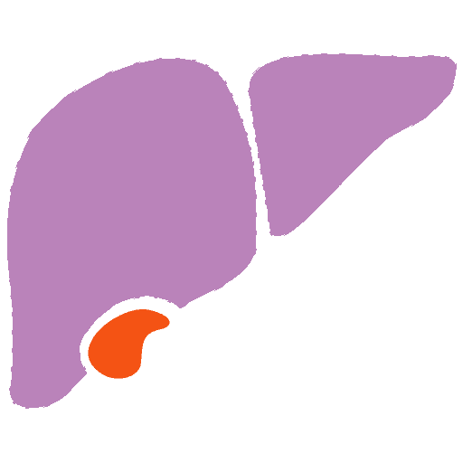 Liver Profile