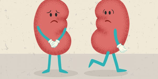 Kidney Profile